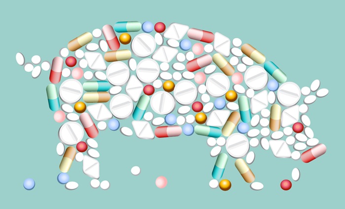 Graphic of a pig made up of pills intended to represent antibiotics