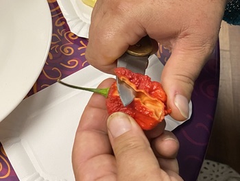 Carolina chili pepper being sliced for me to taste