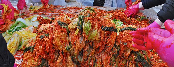 Cabbage prepared to make kimchee