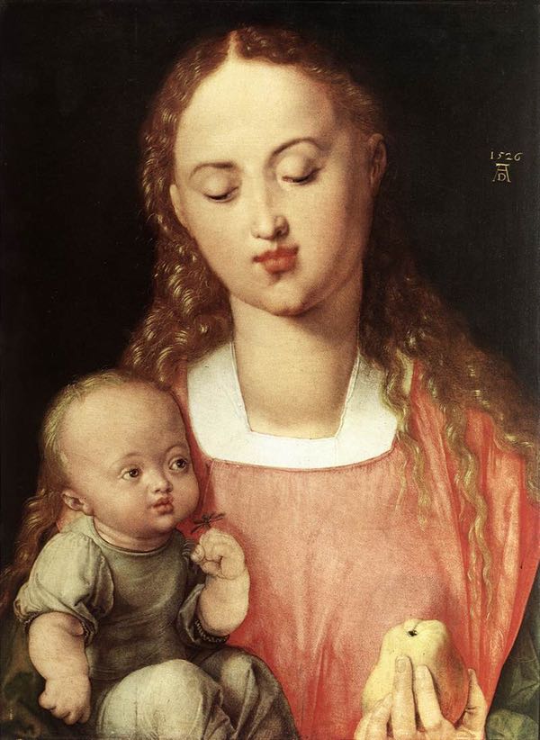 Madonna and Child with the Pear by Albrecht Dürer