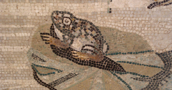 Roman mosaic of a frog on a lily pad