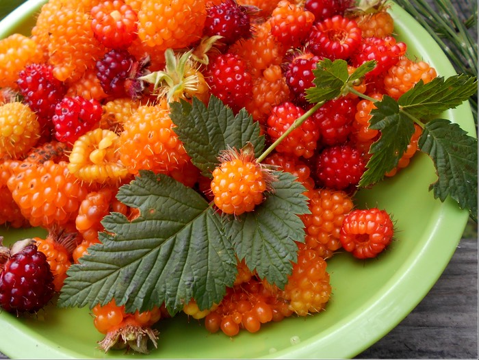 A green plate of orange, pink and red salmonberries with some leaves of the plant