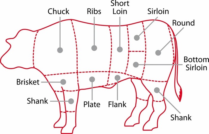 Diagram of major cuts of beef