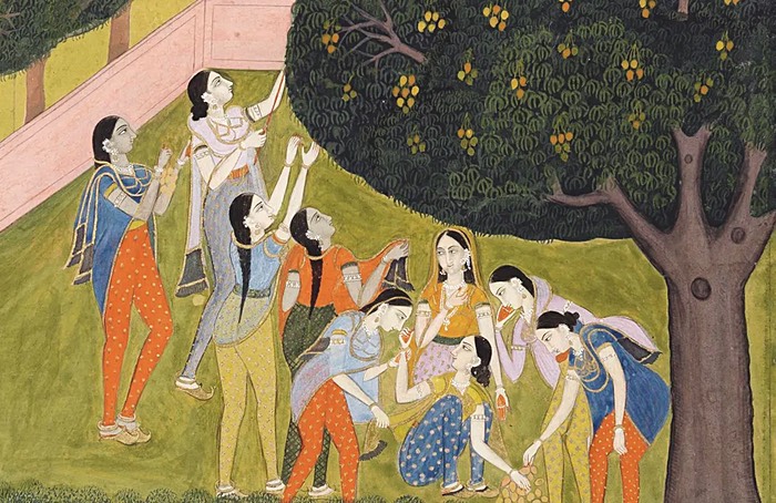 Detail from The mango season, circa 1760. Farrukhabad, gouache on paper. The plucking of delicious mangoes, perhaps the mouthwatering Lucknowi safedas, becomes a ritual in this image of the Farrukhabad palace groves. Photo Courtesy of Bonhams