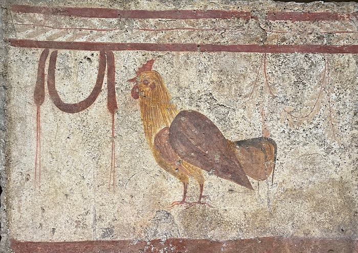 Roman tomb painting of a rooster from Paestum