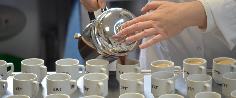 French researchers use a French Press, naturally, to brew samples for expert cuppers to taste.